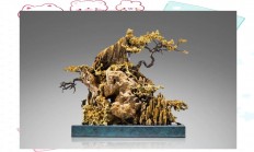 爱游戏-精湛技艺的展示让人惊艳，令人心生敬意