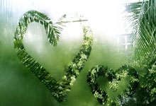 爱游戏网页版-摩洛哥瓦赫达冲击冠军，锋线磨合进入关键期