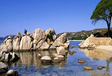 爱游戏登录入口-帕尔梅拉斯锋线火力全开，防守压力山大