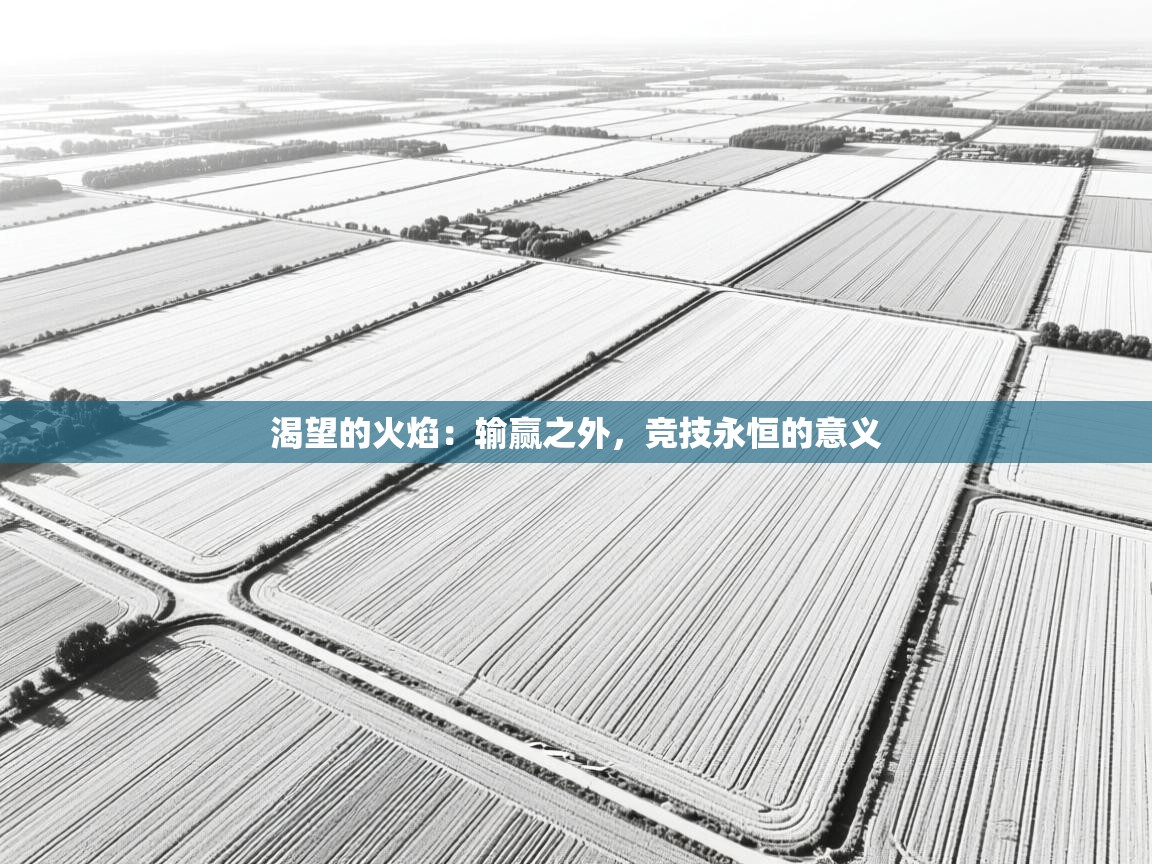 渴望的火焰:输赢之外,竞技永恒的意义 第2张