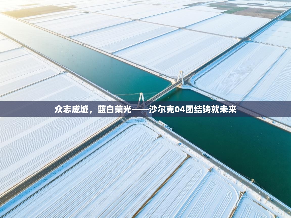 众志成城，蓝白荣光——沙尔克04团结铸就未来  第2张